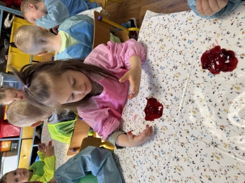 IMG_0041.jpeg