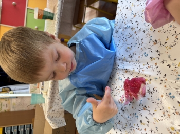 IMG_0053.jpeg