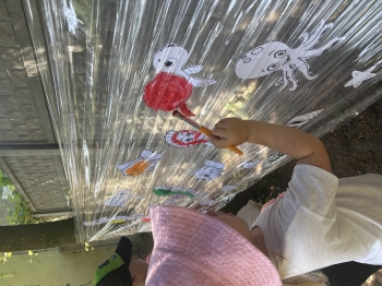 IMG_4382.jpeg
