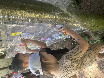 IMG_4383.jpeg