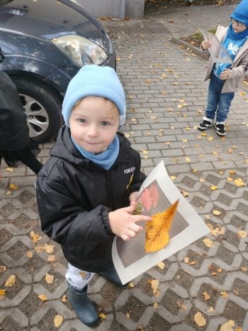 IMG20251014112234