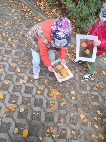 IMG20251014112227
