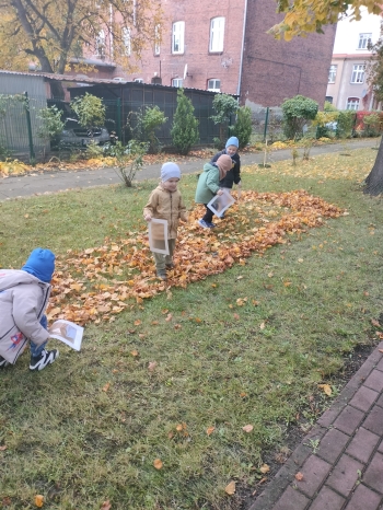 IMG20251014111518