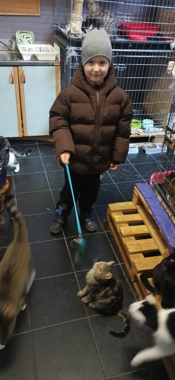 55057a6b-2bd4-47a2-8bc7-9fae61689200