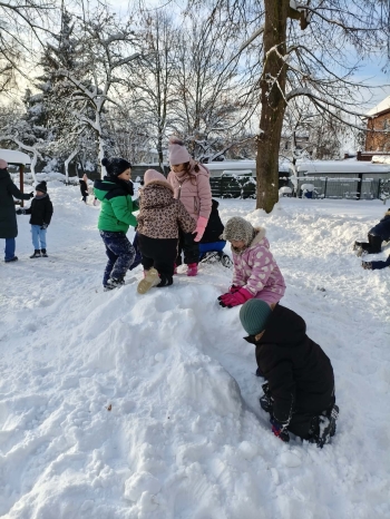 7c7a9e2a-b784-4750-b529-86f1a45c7285