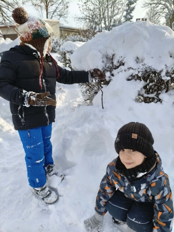 e5c11ae9-d7d0-4c0e-a01c-bf3dc1658d44