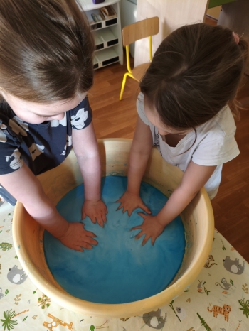 MVIMG_20260121_124247