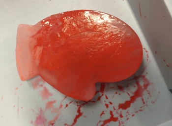 MVIMG_20260114_104525