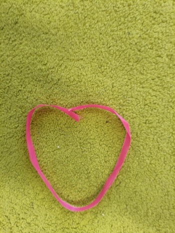 MVIMG_20260213_125158 — kopia