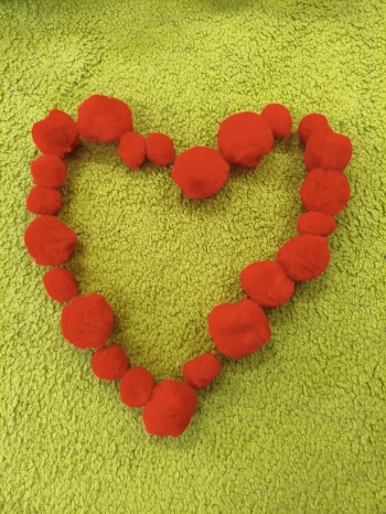 MVIMG_20260213_131439