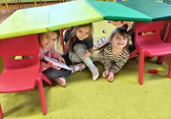 MVIMG_20260126_131138