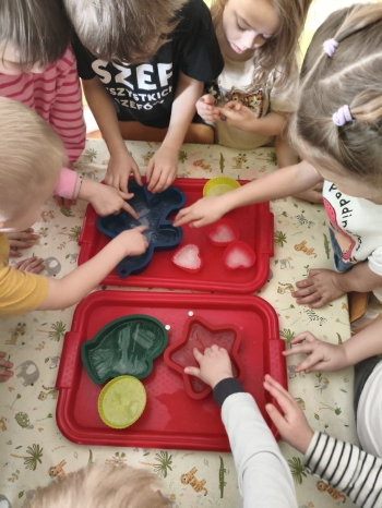 MVIMG_20260216_124610