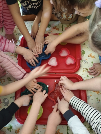 MVIMG_20260216_124614