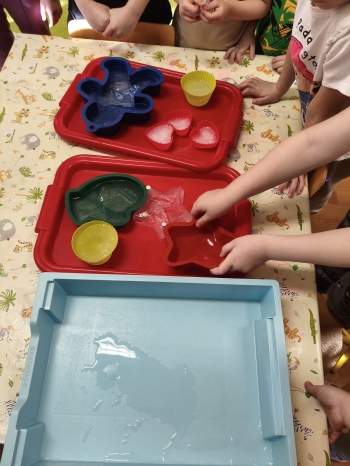 MVIMG_20260216_124722