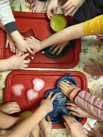 MVIMG_20260216_124642