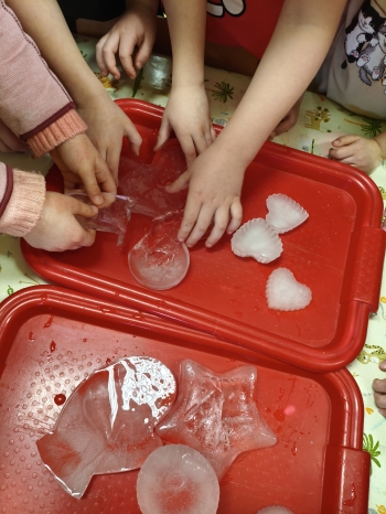 MVIMG_20260216_124852