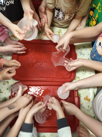 MVIMG_20260216_124917