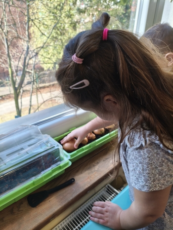 MVIMG_20260310_110734