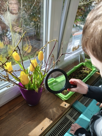 MVIMG_20260312_142012