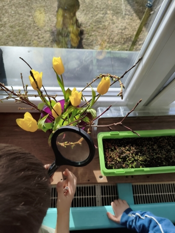 MVIMG_20260312_142031