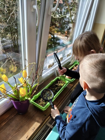 MVIMG_20260312_142252