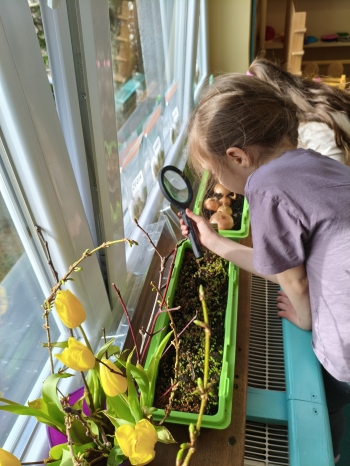 MVIMG_20260312_142333