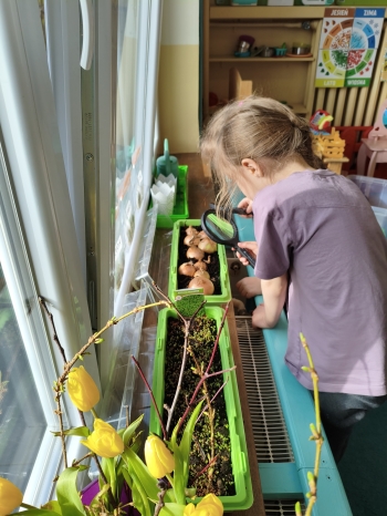 MVIMG_20260312_142336