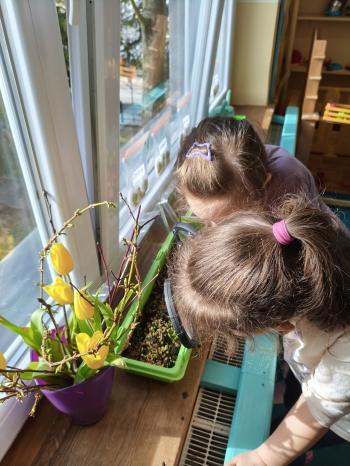 .trashed-1775928846-MVIMG_20260312_142349