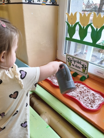 MVIMG_20260316_133512