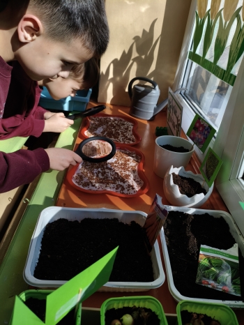 MVIMG_20260318_125335