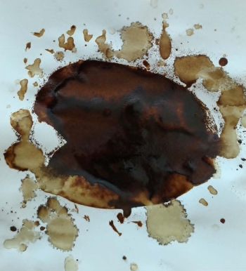 MAKCELINA.jpeg