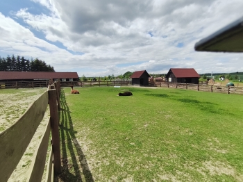 MVIMG_20260521_134304