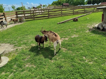 MVIMG_20260521_135235