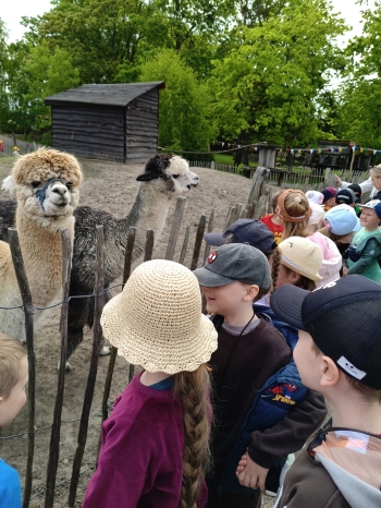 MVIMG_20260521_104756