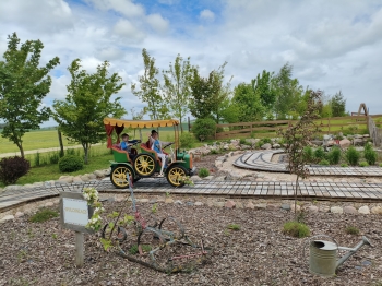 MVIMG_20260521_113507