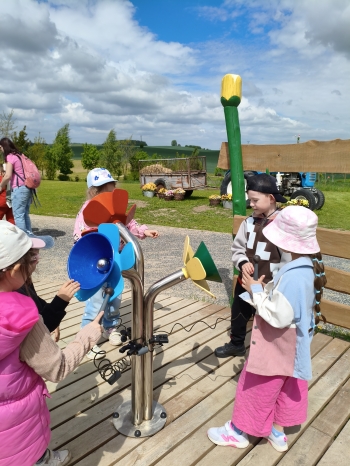 MVIMG_20260521_120009