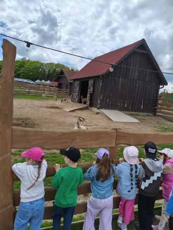 MVIMG_20260521_121201
