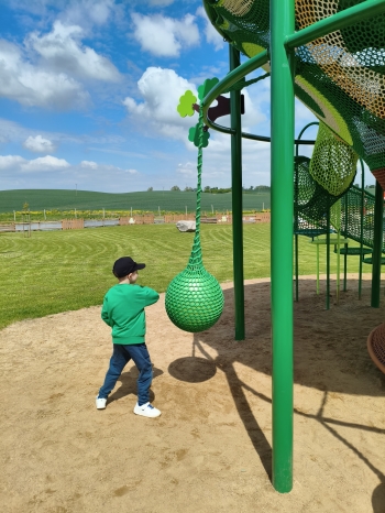 MVIMG_20260521_122047