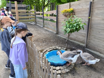 MVIMG_20260521_133545