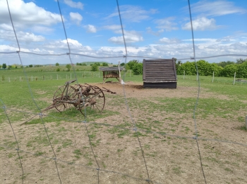 MVIMG_20260521_133834