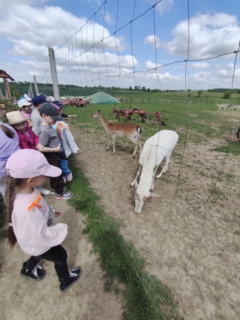 MVIMG_20260521_134509