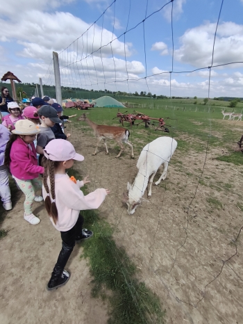 MVIMG_20260521_134510