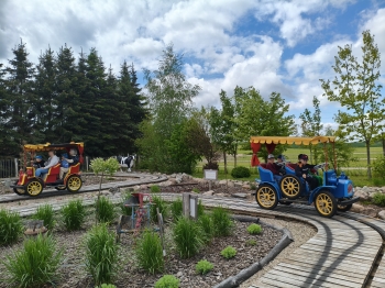 MVIMG_20260521_114046