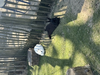 IMG_0371.jpeg