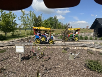 IMG_0354.jpeg