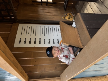 IMG_0291.jpeg