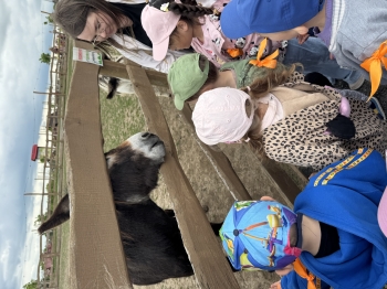 IMG_0211.jpeg