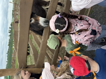 IMG_0210.jpeg