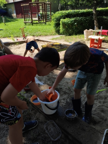 MVIMG_20260624_105206