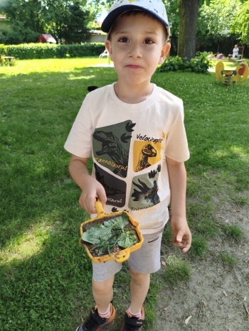 MVIMG_20260624_111151